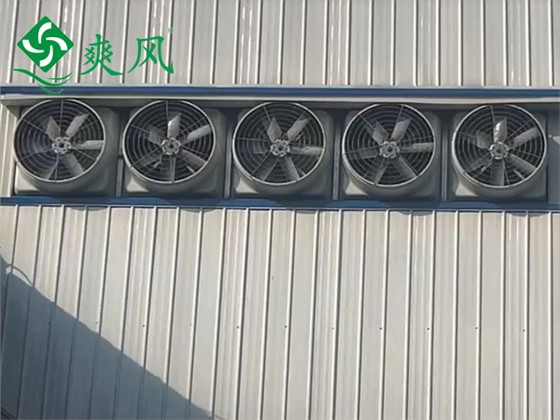 玻璃钢负压风机 (2)