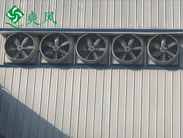 玻璃钢负压风机 (2)